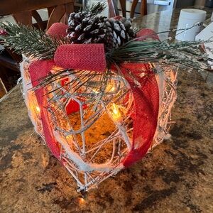 Holiday lighted decoration- inside or outside